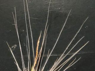 VTax4194.Ex5.Img1