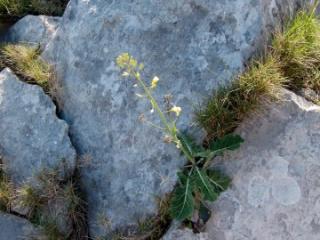 VTax1015.imgprincipal