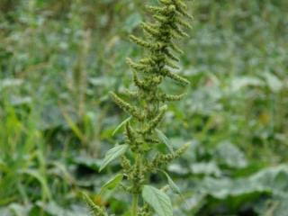 VTax2122.imgprincipal