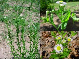 VTax3002.imgprincipal