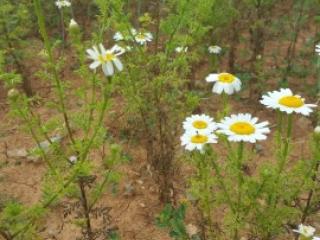 VTax3089.imgprincipal