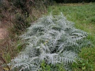 VTax3240.imgprincipal