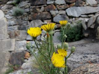 VTax3392.imgprincipal