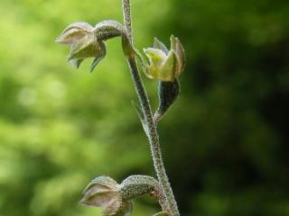 VTax4214.imgprincipal