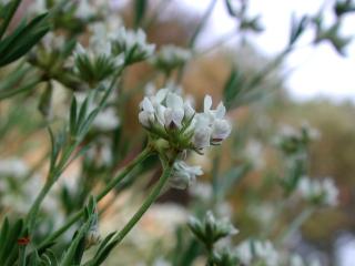 VTax821.imgprincipal