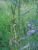 Img.VTax1008.Ex1.Img1