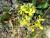 Img.VTax1022.Ex2.Img1
