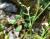 Img.VTax1022.Ex2.Img2