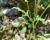 Img.VTax1022.Ex2.Img3