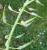 Img.VTax1027.Ex2.Img1