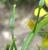 Img.VTax1027.Ex2.Img3