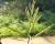 Img.VTax1032.Ex3.Img1