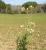 Img.VTax1032.Ex3.Img3