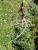 Img.VTax1032.Ex3.Img4