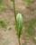 Img.VTax1032.Ex3.Img5