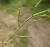 Img.VTax1032.Ex3.Img6