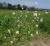 Img.VTax1032.Ex4.Img1