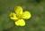 Img.VTax1036.Ex1.Img4