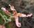 Img.VTax1048.Ex1.Img1