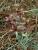 Img.VTax1048.Ex1.Img2