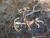 Img.VTax1048.Ex1.Img3