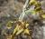 Img.VTax1048.Ex1.Img4