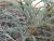 Img.VTax1048.Ex1.Img5