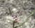 Img.VTax1051.Ex1.Img1
