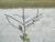 Img.VTax1051.Ex1.Img2