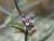 Img.VTax1051.Ex1.Img3