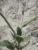 Img.VTax1051.Ex1.Img5