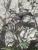 Img.VTax1051.Ex1.Img6