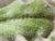 Img.VTax1051.Ex1.Img7