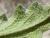 Img.VTax1051.Ex1.Img8