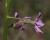 Img.VTax1058.Ex1.Img1