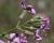 Img.VTax1058.Ex1.Img3