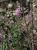 Img.VTax1058.Ex1.Img5