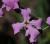 Img.VTax1058.Ex1.Img6