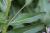 Img.VTax1058.Ex1.Img7