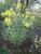 Img.VTax1065.Ex2.Img3