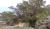 Img.VTax108.Ex2.Img1