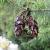Img.VTax110.Ex1.Img1