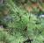 Img.VTax110.Ex1.Img3