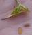 Img.VTax1123.Ex1.Img2