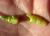 Img.VTax1123.Ex1.Img5
