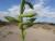 Img.VTax1123.Ex1.Img6