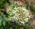 Img.VTax1128.Ex4.Img3