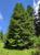 Img.VTax115.Ex2.Img2