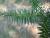 Img.VTax116.Ex1.Img3
