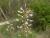 Img.VTax1163.Ex1.Img2